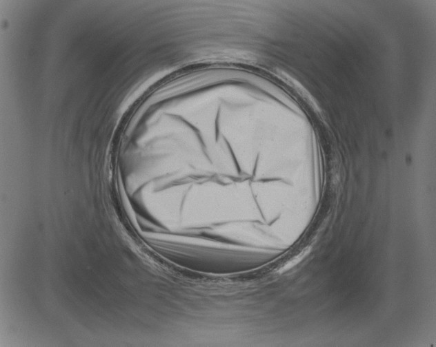 X0000081450885200702092247