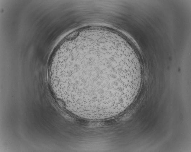 X0000081450887200702092247