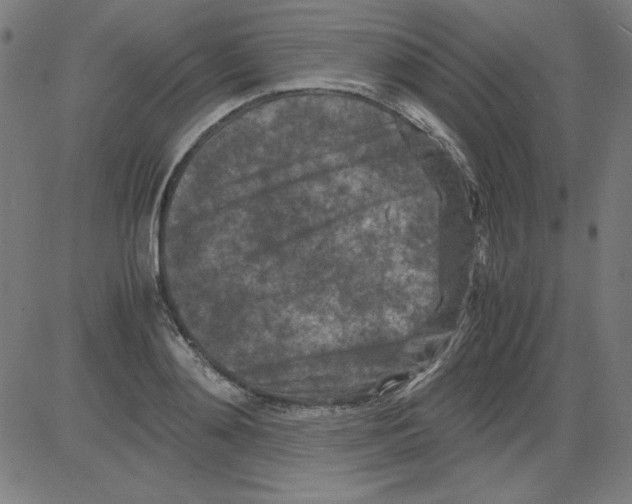 X0000081450892200702092247