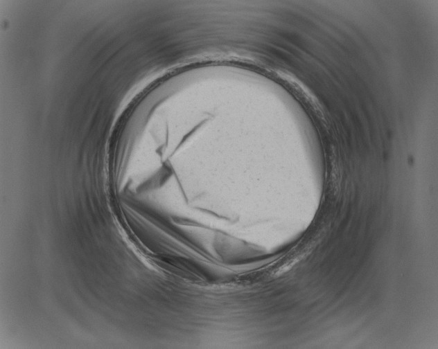X0000081450894200702092247