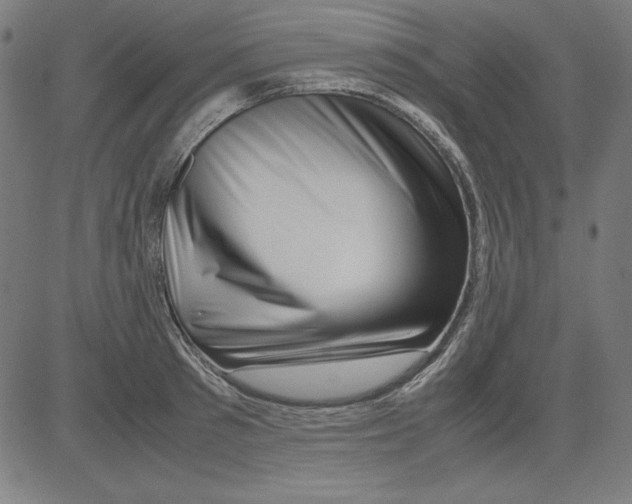 X0000081450897200702092247