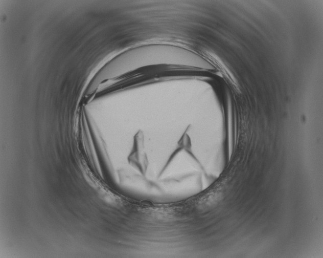 X0000081450900200702092247