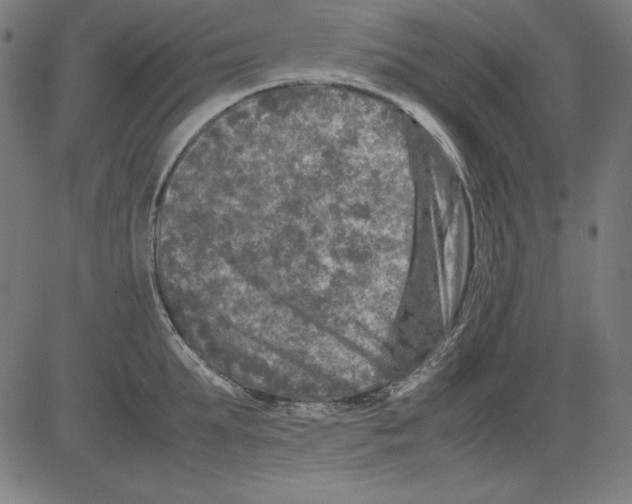 X0000081450903200702092247