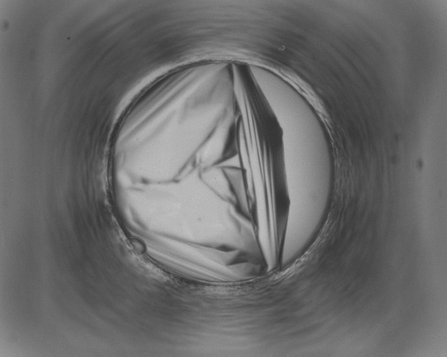 X0000081450904200702092247