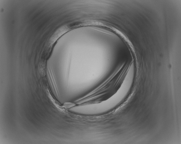 X0000081450905200702092246