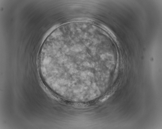 X0000081450907200702092246