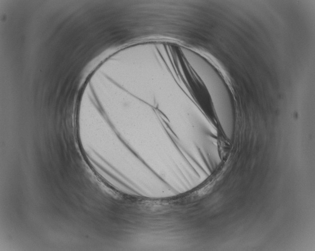X0000081450910200702092246