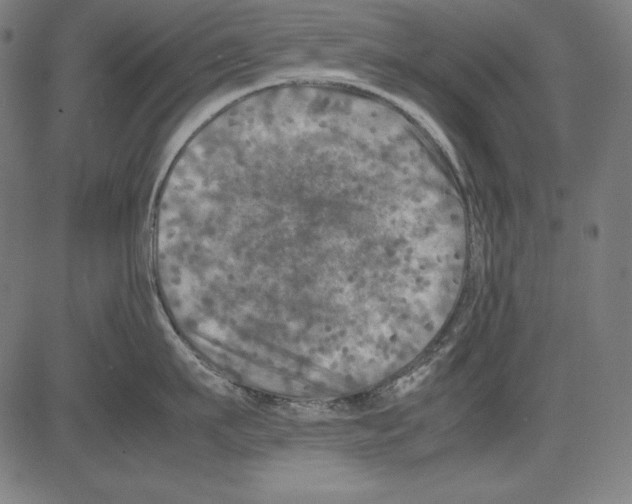X0000081450911200702092246