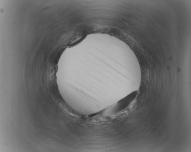 X0000081450914200702092246