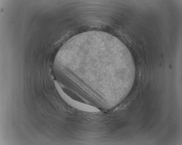 X0000081450916200702092246
