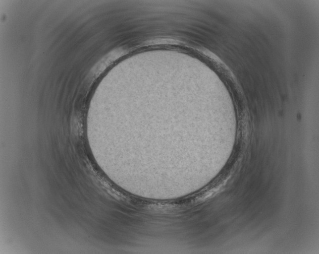 X0000081450929200702092246