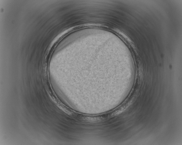 X0000081450933200702092246
