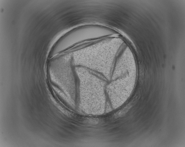 X0000081450935200702092246
