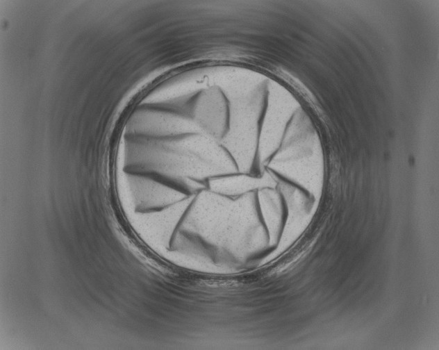 X0000081450939200702092246