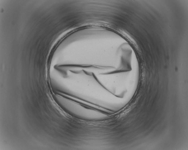 X0000081450940200702092246