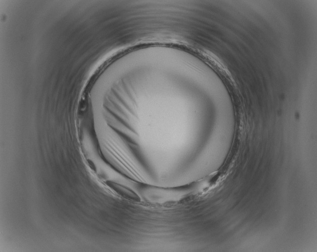 X0000081450942200702092246