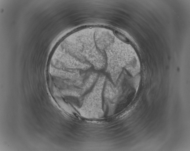 X0000081450943200702092246
