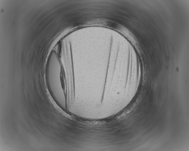X0000081450949200702092246
