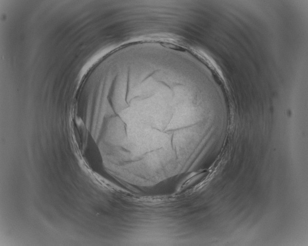 X0000081450952200702092246