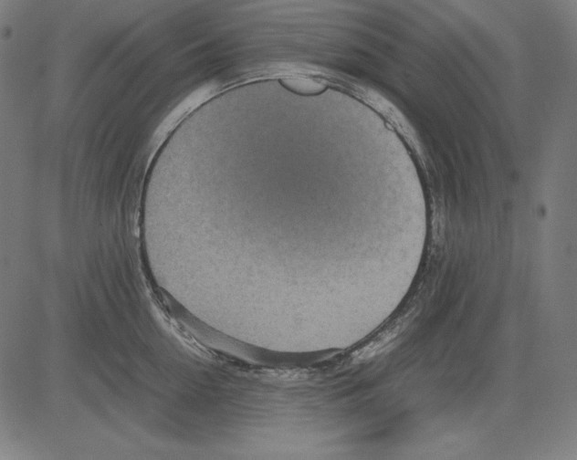 X0000081450954200702092246