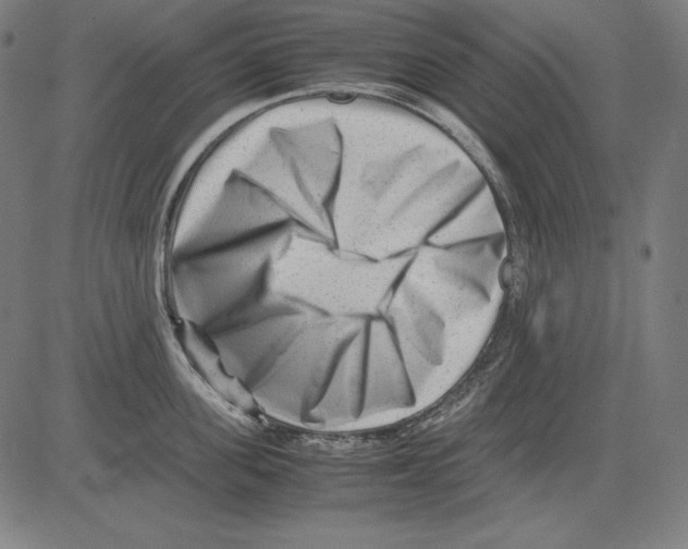 X0000081450955200702092246