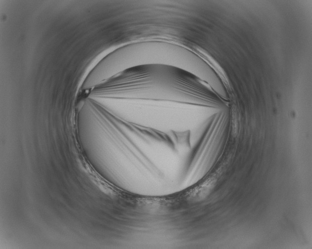 X0000081450956200702092246