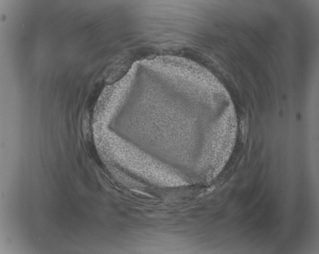 X0000081450963200702092246