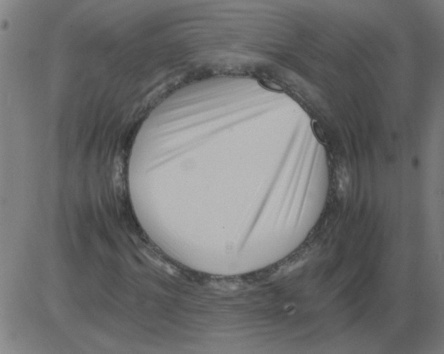 X0000081450964200702092246
