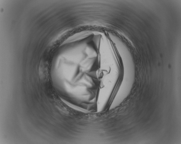 X0000081450968200702092245