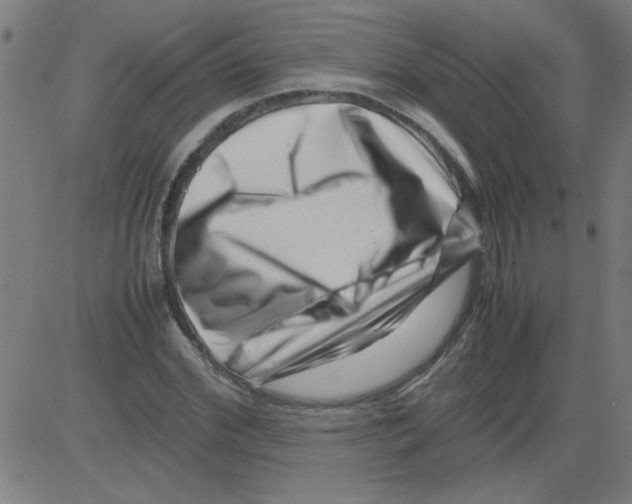 X0000081450972200702092245