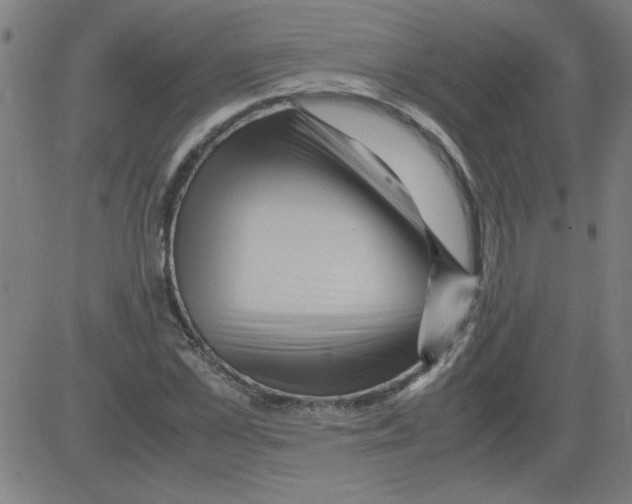 X0000081450973200702092245