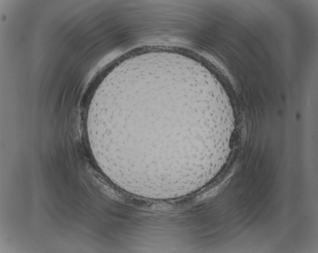 X0000081450974200702092245