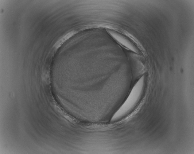 X0000081450977200702092245