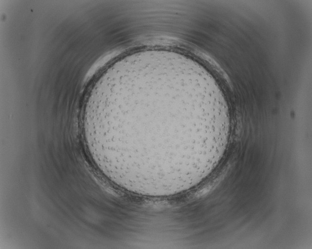 X0000081450978200702092245