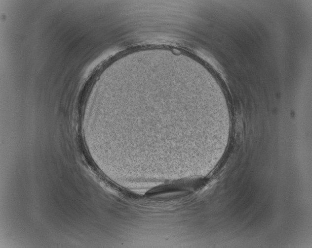 X0000081450979200702092245