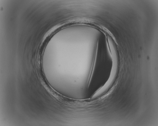 X0000081450981200702092245