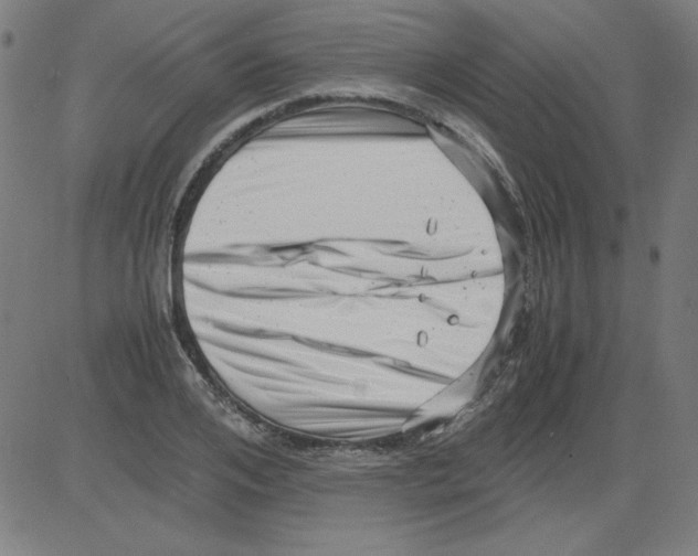 X0000081450984200702092245