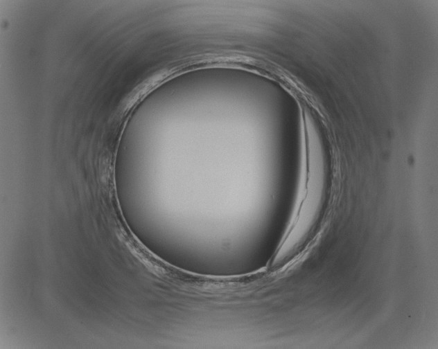 X0000081450985200702092245
