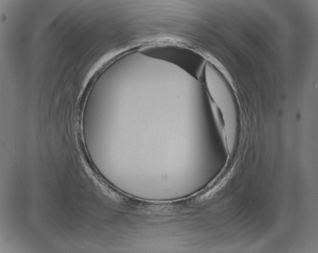 X0000081450989200702092245