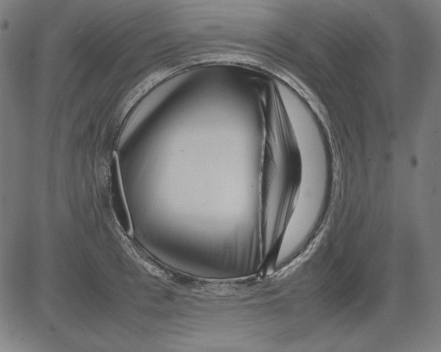 X0000081450993200702092245