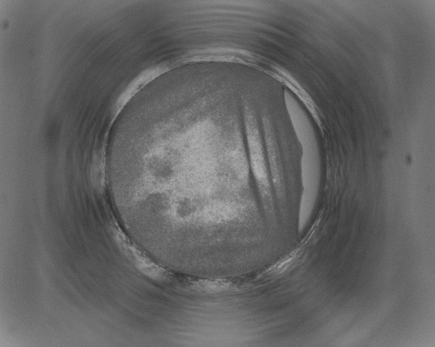 X0000081450994200702092245