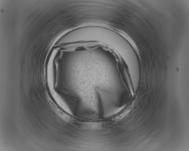 X0000081450996200702092245