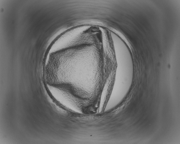 X0000081450999200702092245