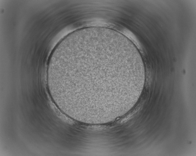 X0000081451000200702092245