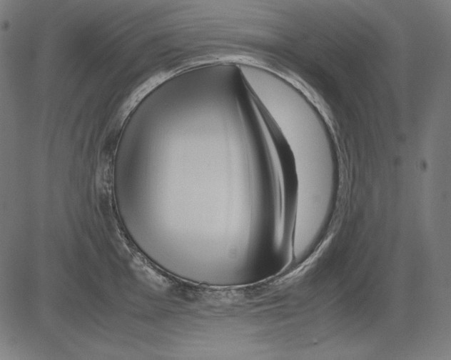 X0000081451001200702092245