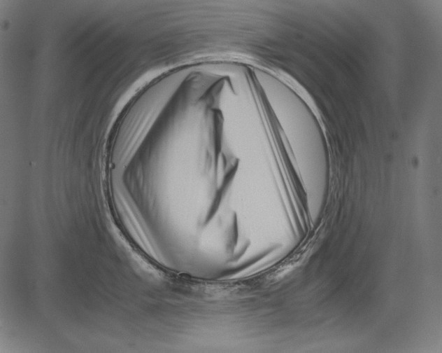 X0000081451005200702092245