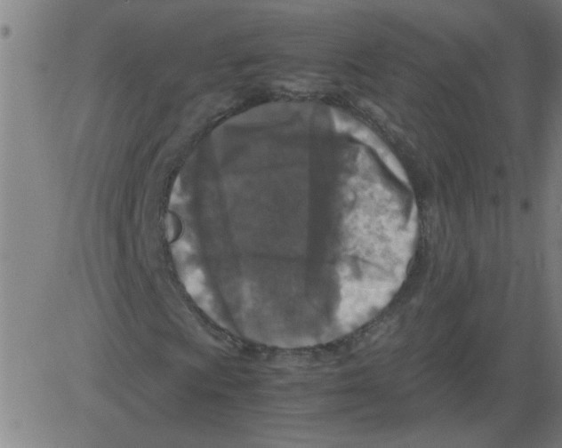 X0000081451009200702092244