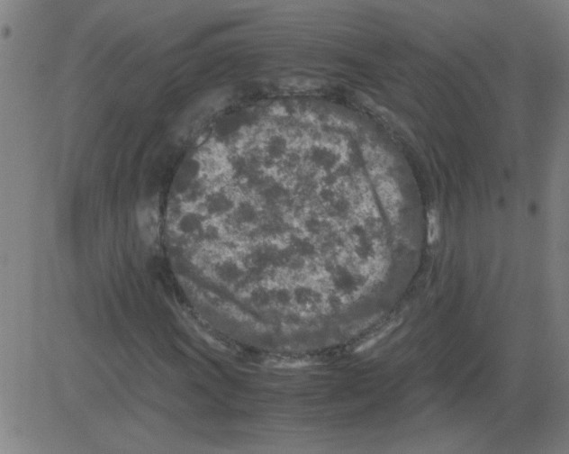 X0000081451011200702092244