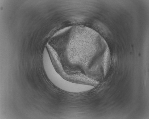 X0000081451012200702092244