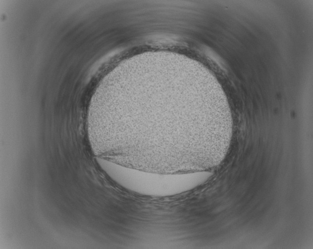 X0000081451016200702092244